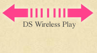 DS Wireless Play